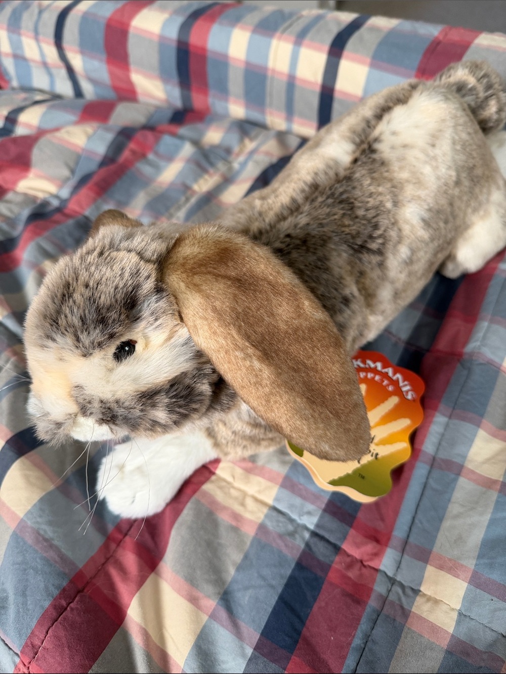 NWT Folkmanis puppet holland lop rabbit